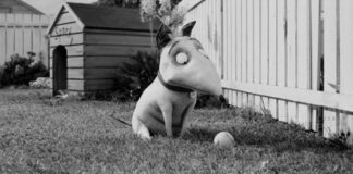 SITGES 2012, crónica del 10 de octubre frankenweenie 1