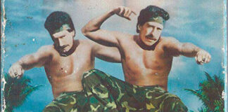 Los Mellizos McNamara (II) Twin Dragon Encounter, una película de los mellizos McNamara